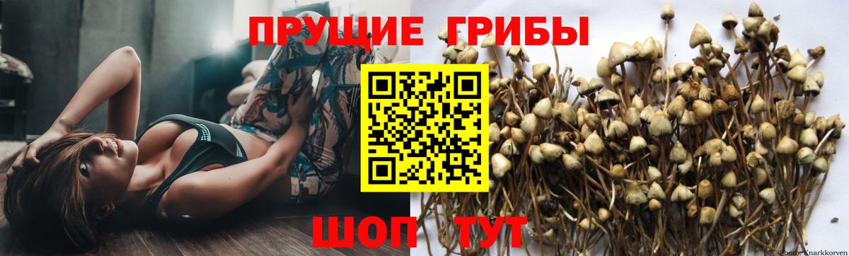 Нефтекамск  Галлюциногенные грибы Magic Shrooms  Вход с VPN 